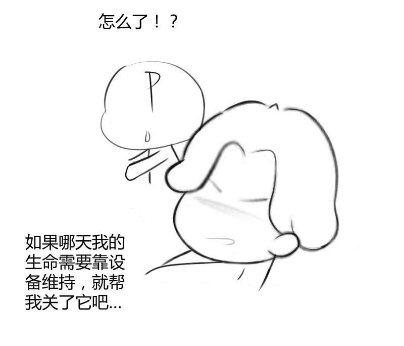 46.jpg
