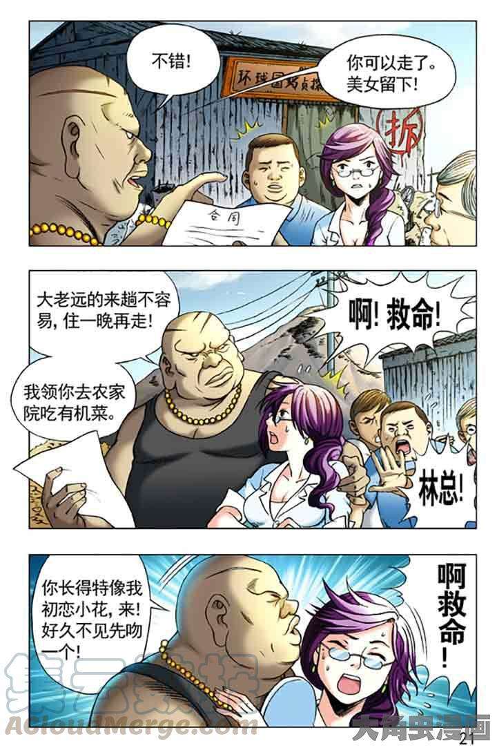 5.jpg