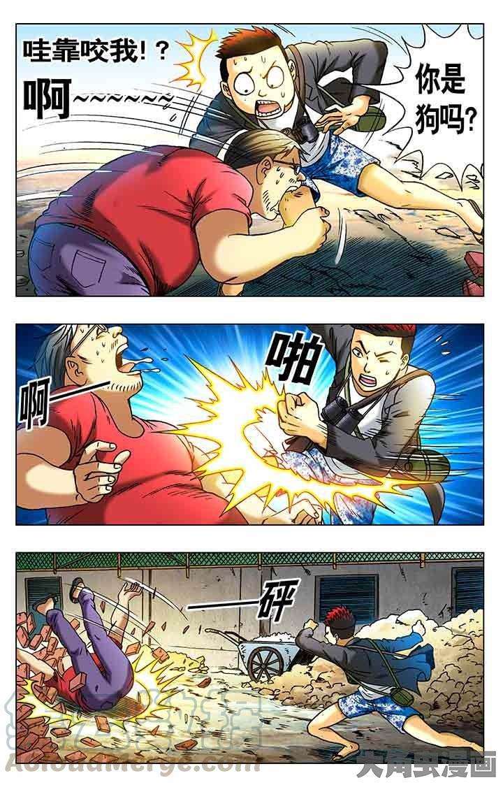 5.jpg
