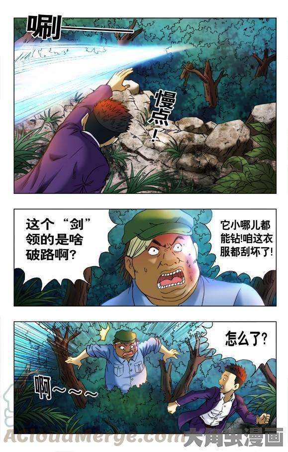 5.jpg