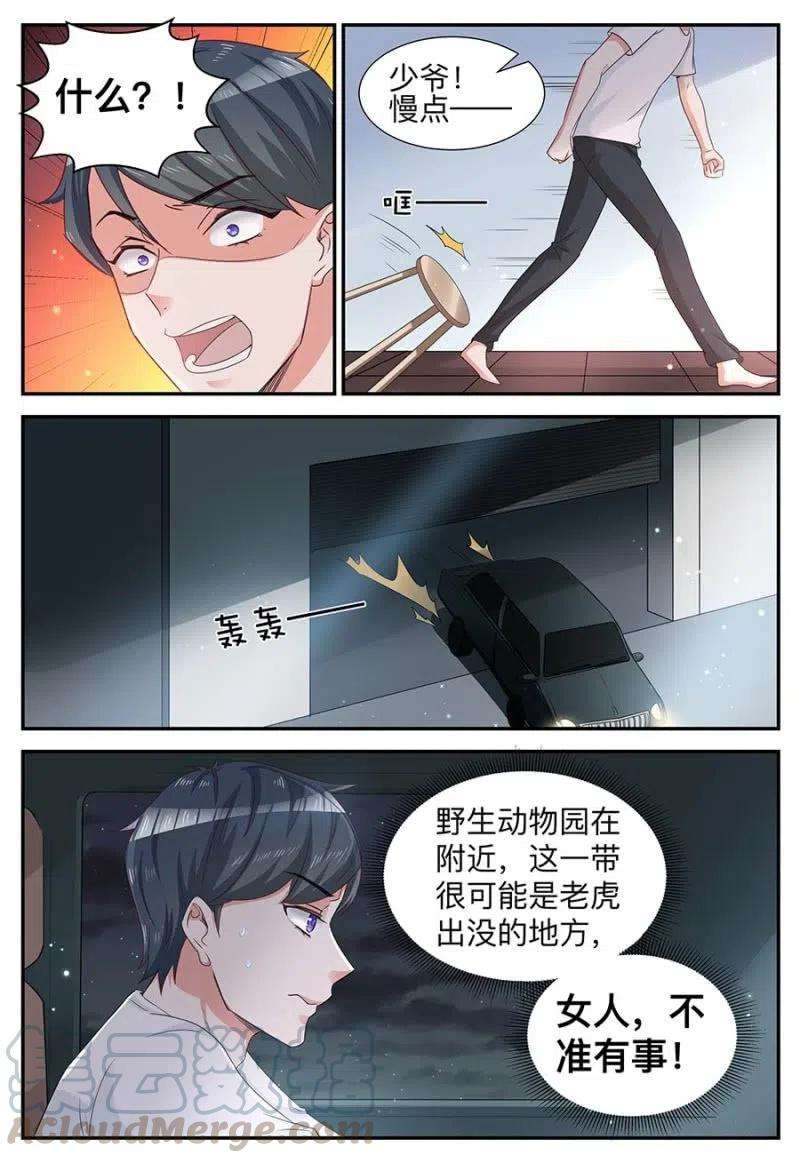 11.jpg