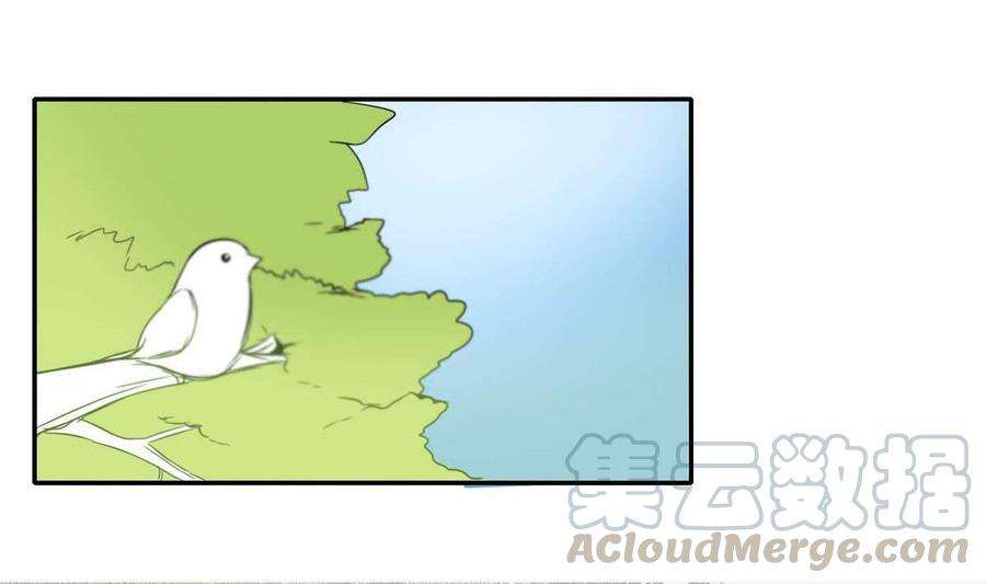 40.jpg