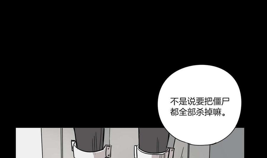 91.jpg