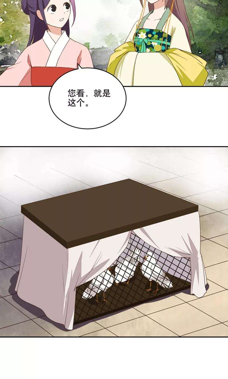 19.jpg
