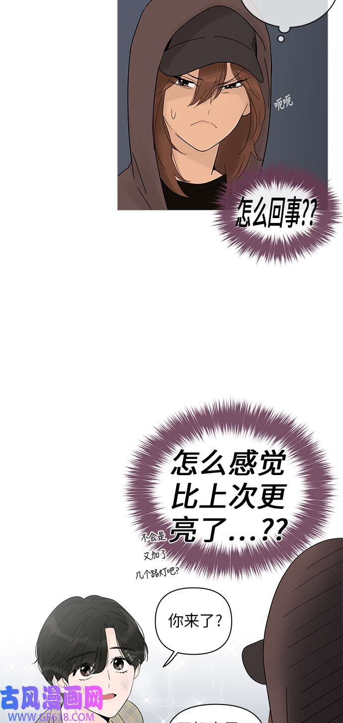 29.jpg