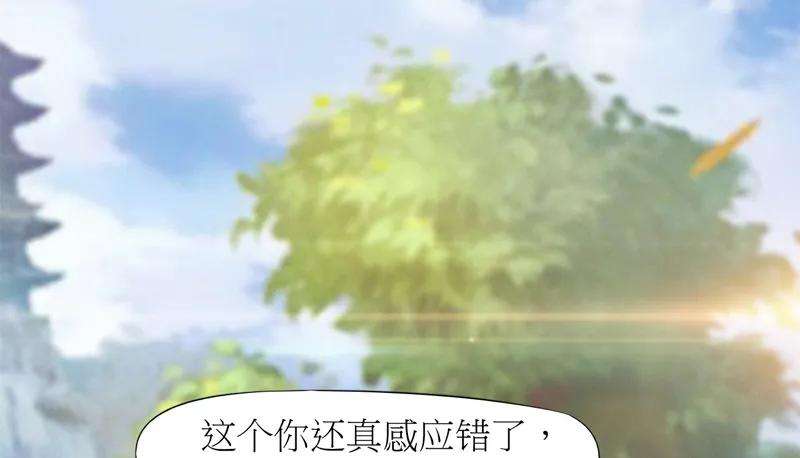 213.jpg
