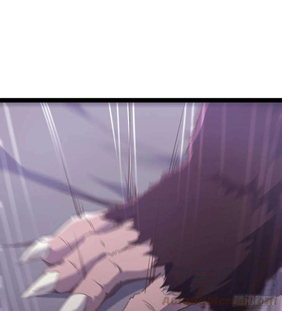 71.jpg