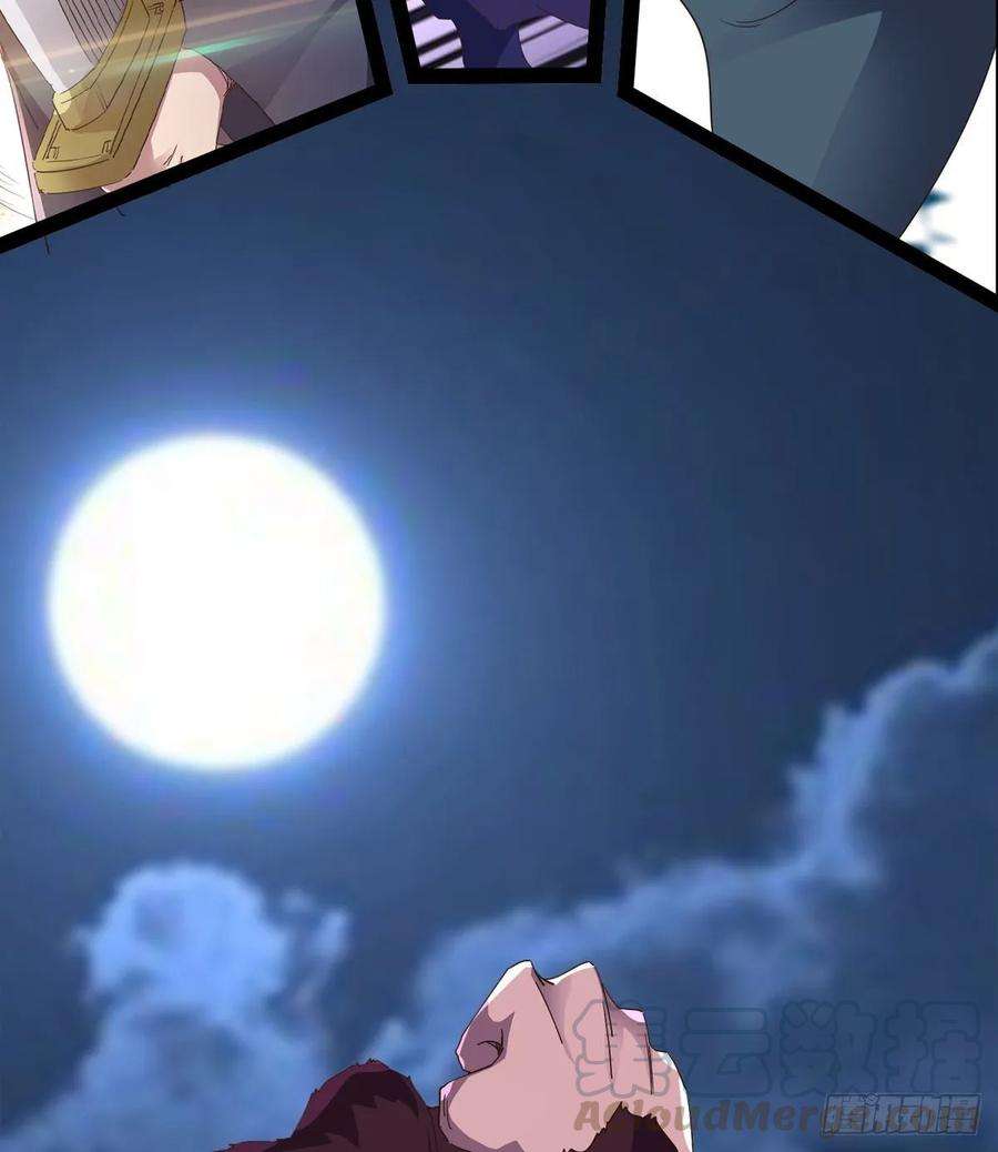 41.jpg