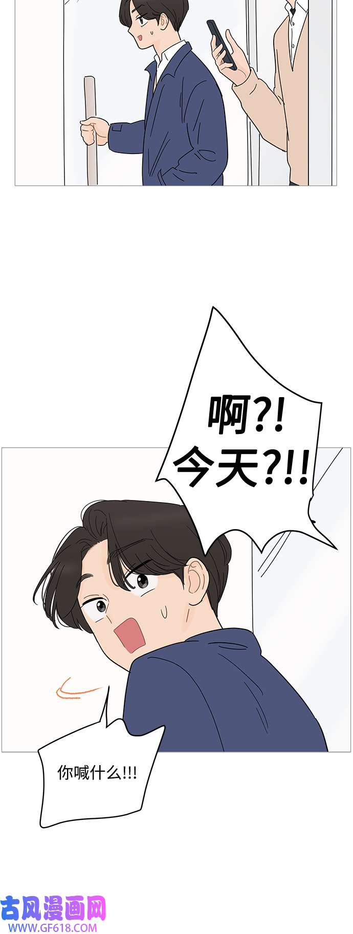 41.jpg