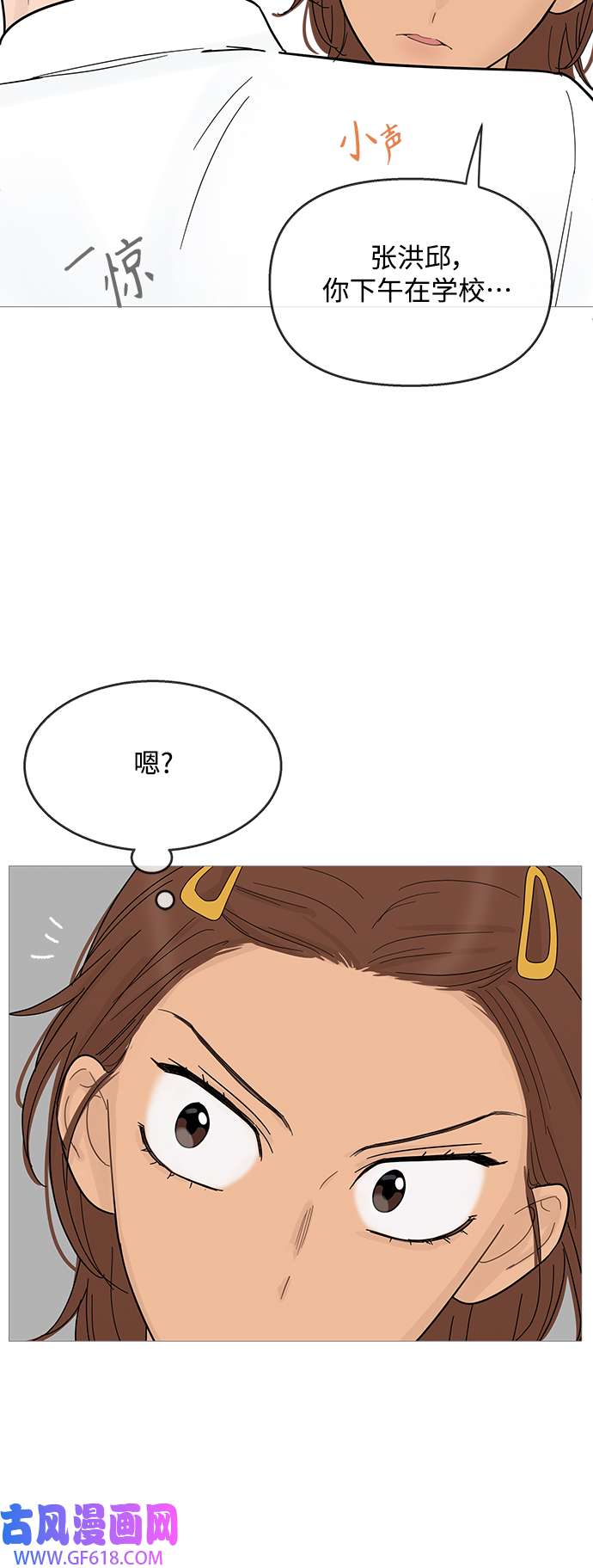 17.jpg