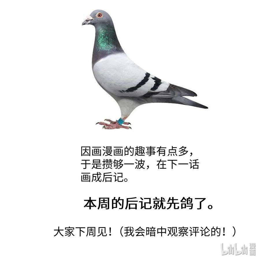 47.jpg