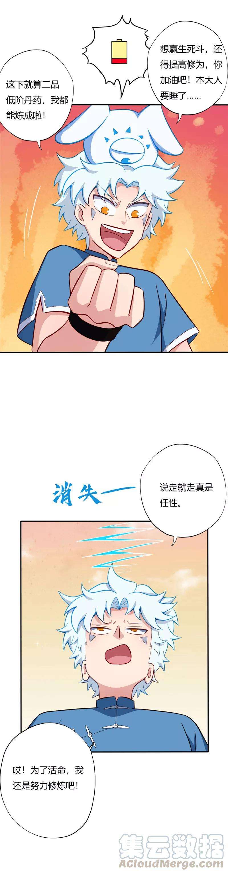 5.jpg