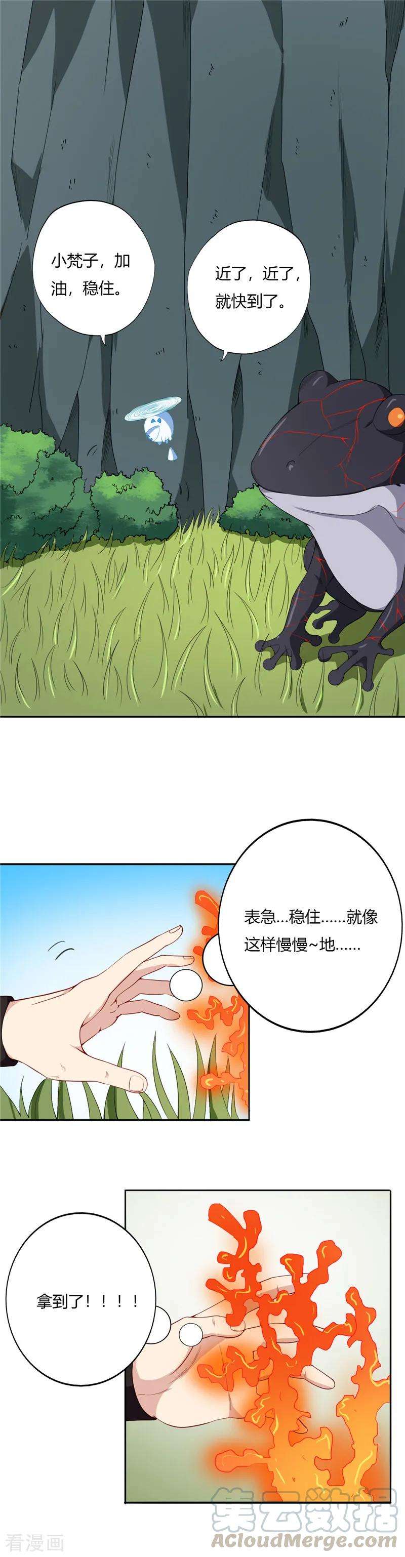 5.jpg