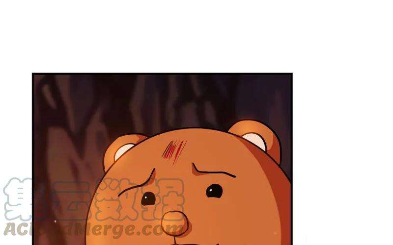 231.jpg