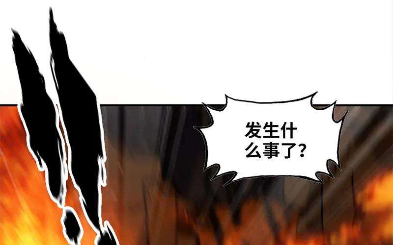223.jpg