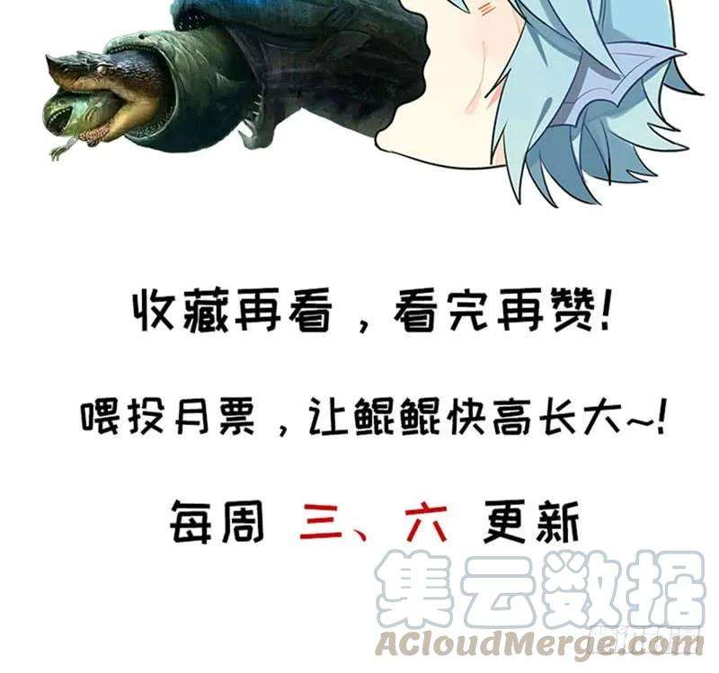 85.jpg