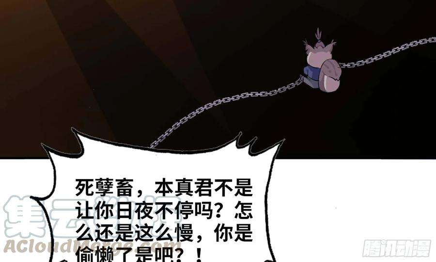 73.jpg