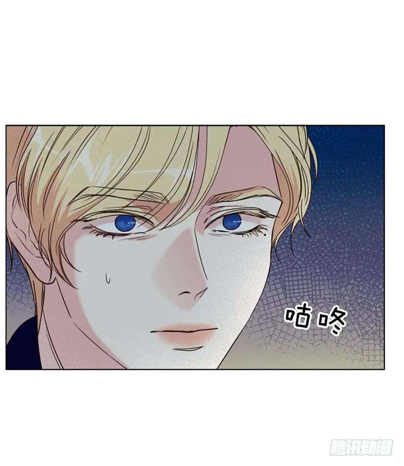 48.jpg