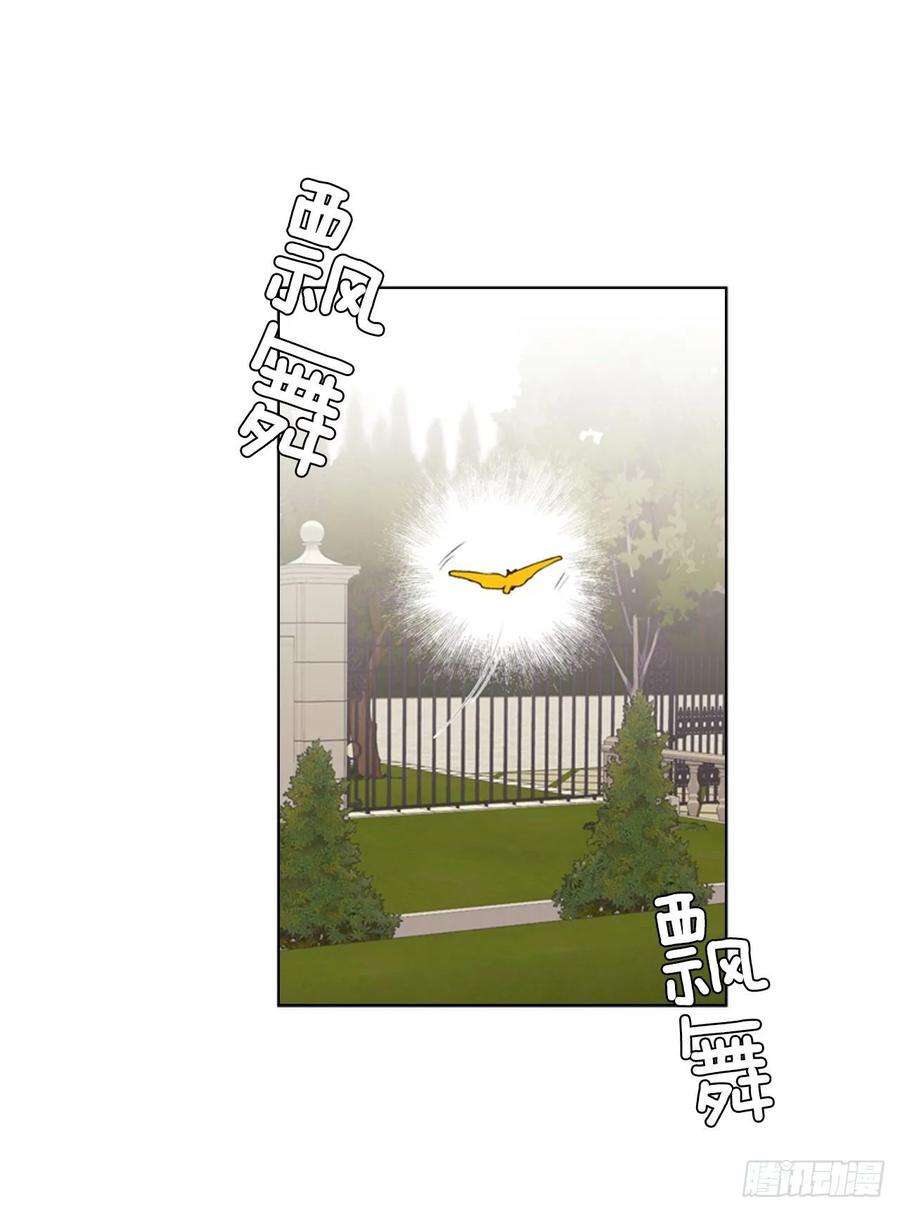 82.jpg
