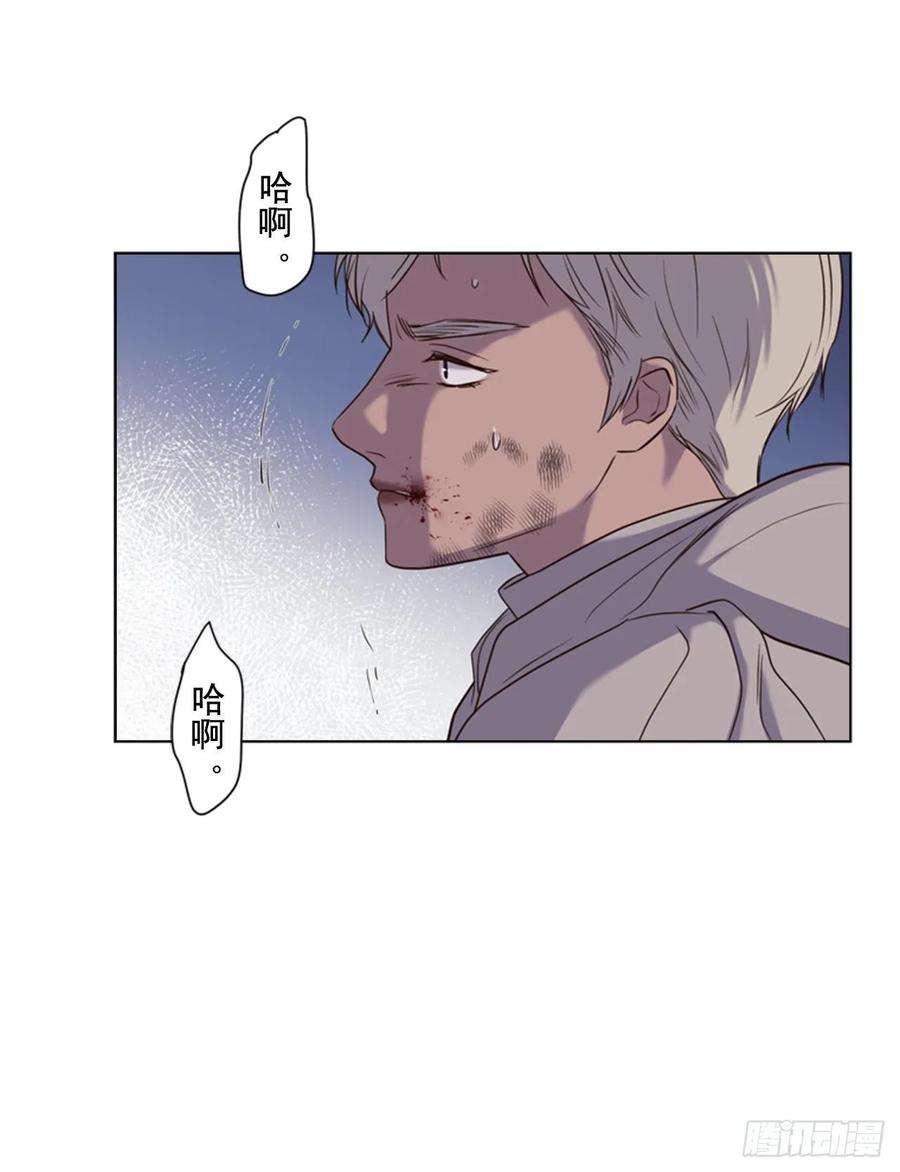 51.jpg