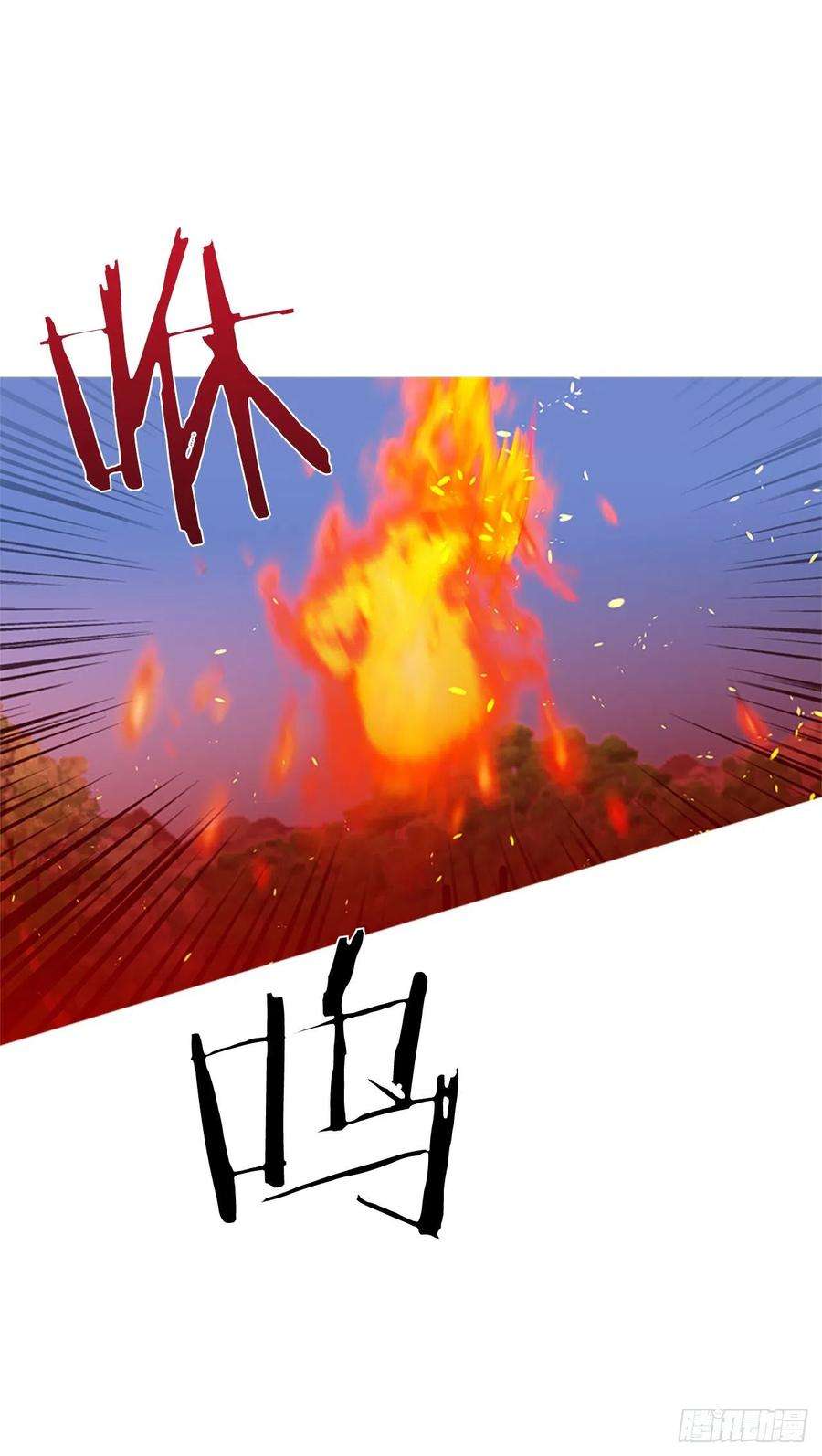 48.jpg