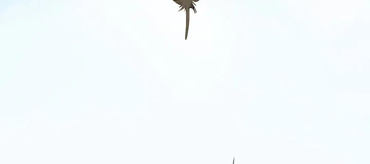 105.jpg