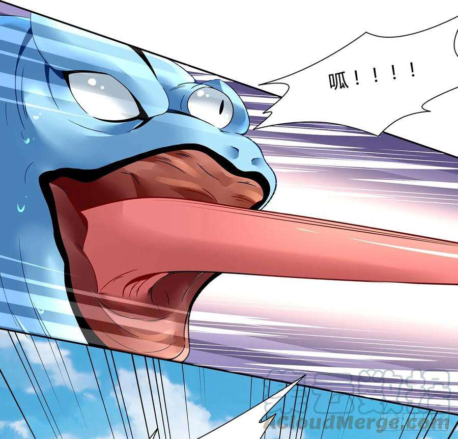41.jpg