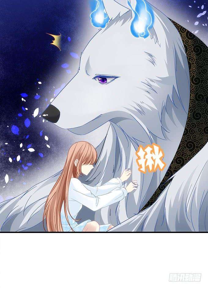 50.jpg