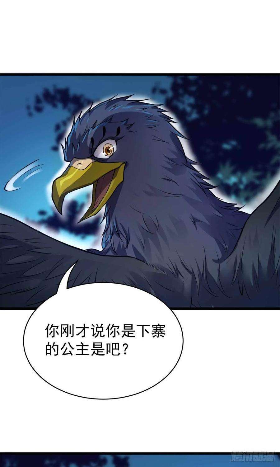 31.jpg