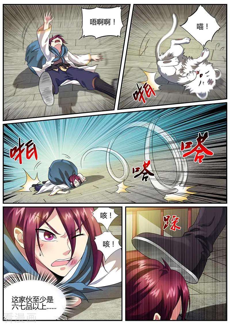 6.jpg