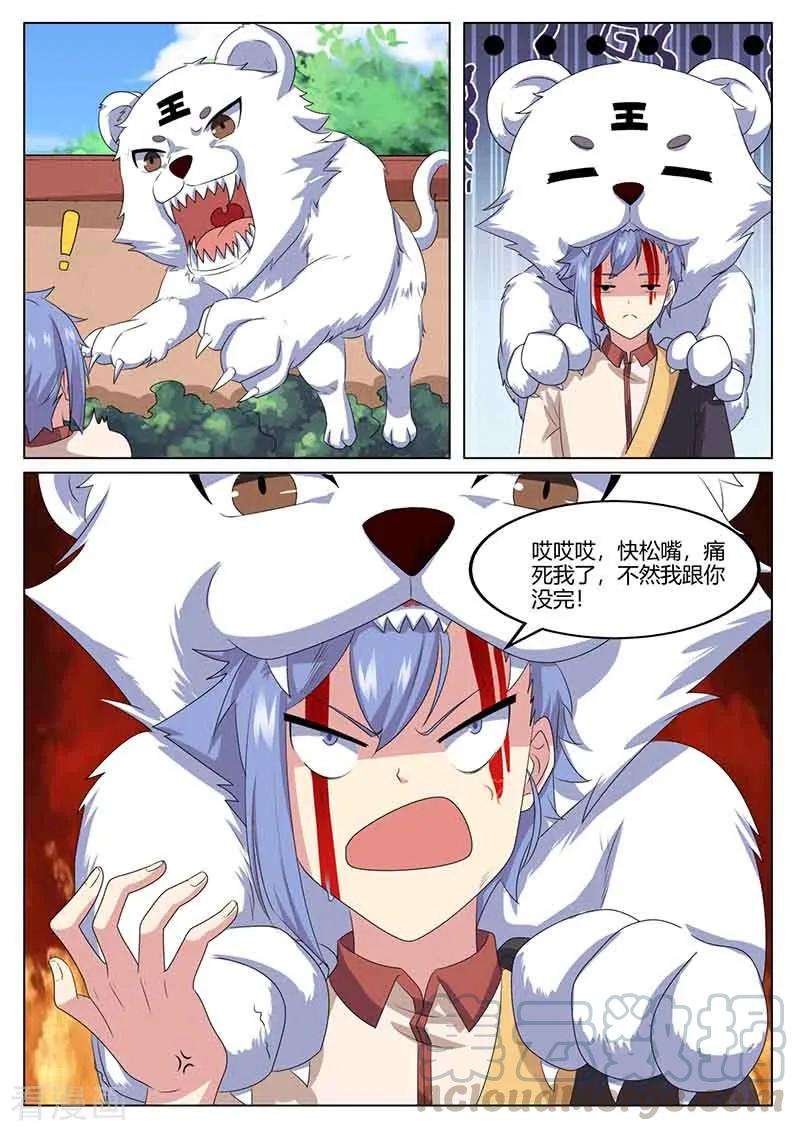5.jpg