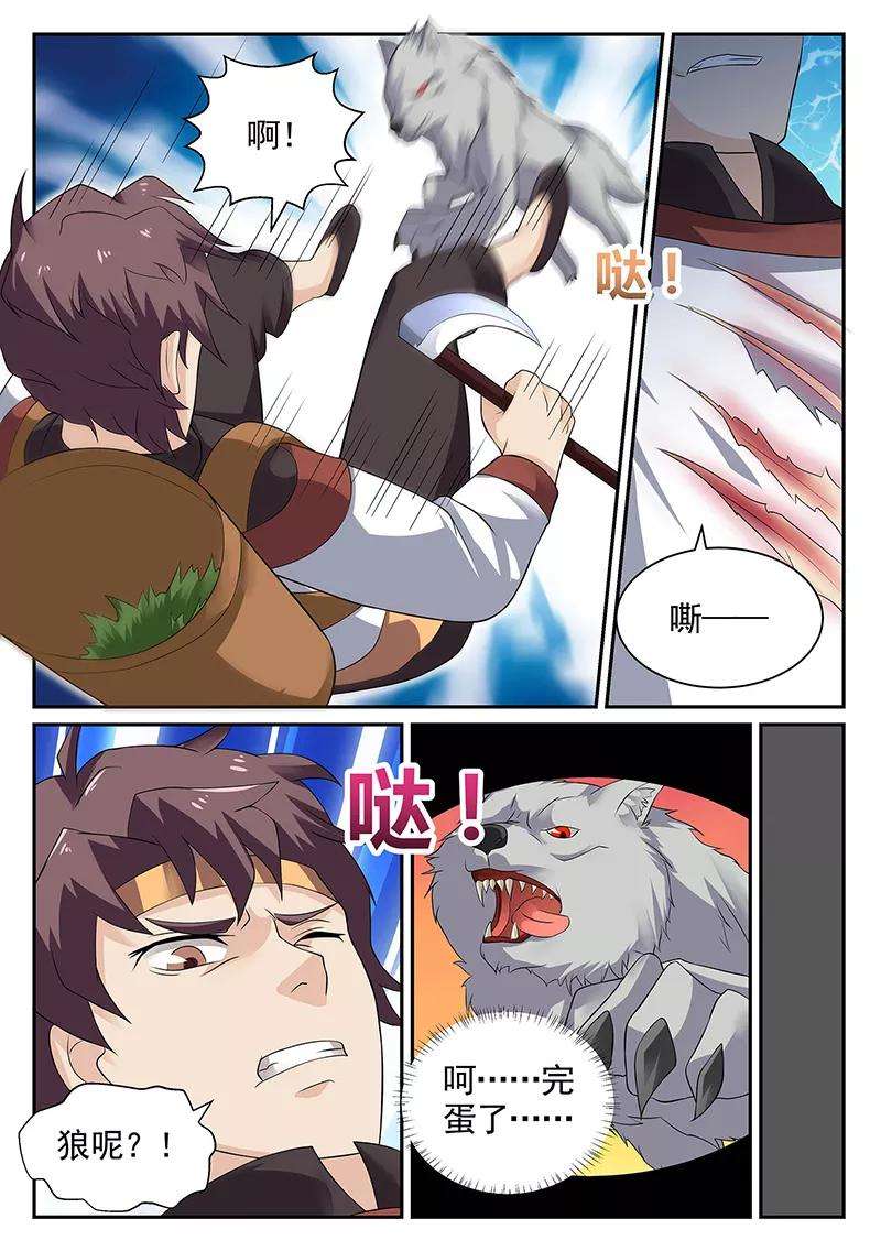 12.jpg