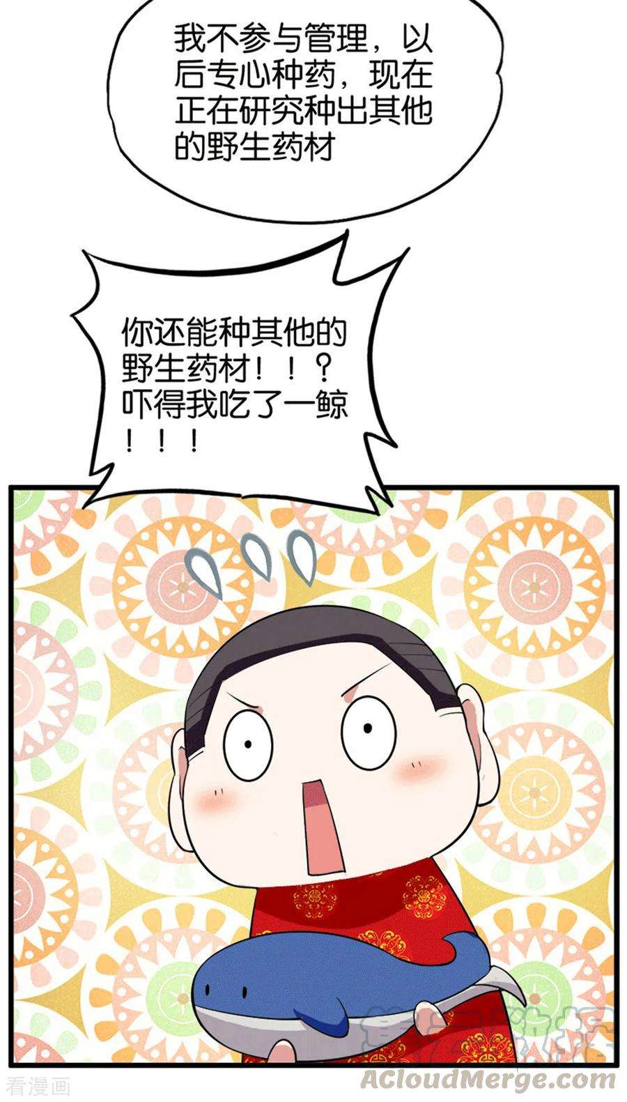 15.jpg