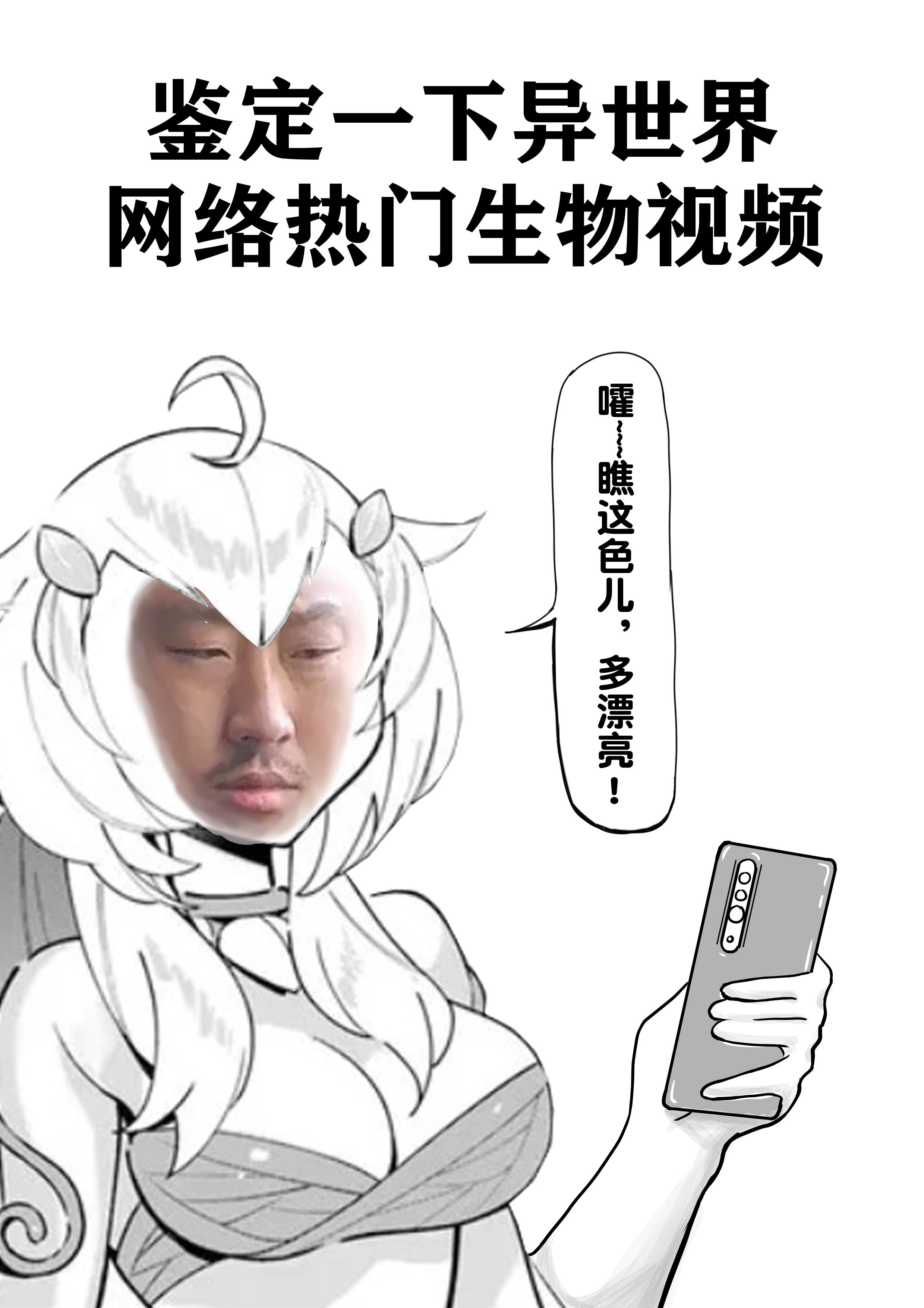 31.jpg