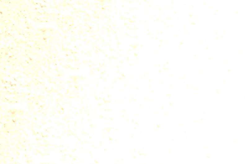 88.jpg