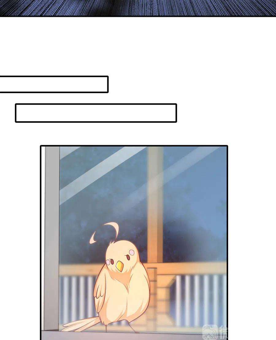 40.jpg