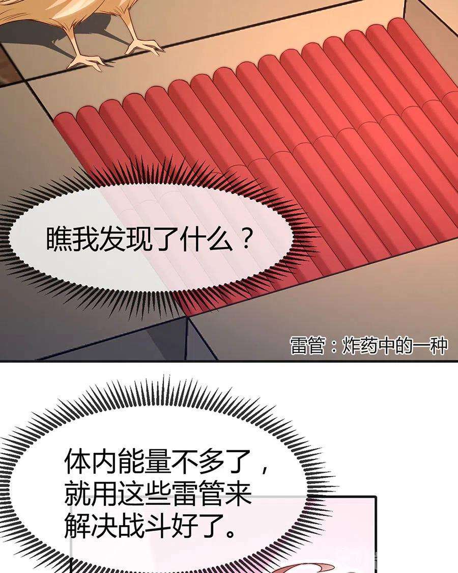 11.jpg