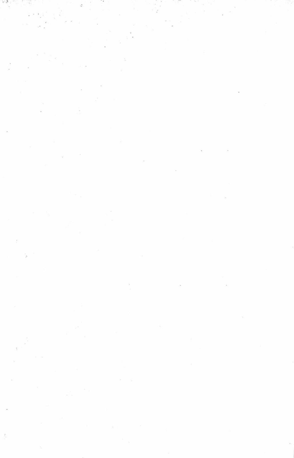 197.jpg