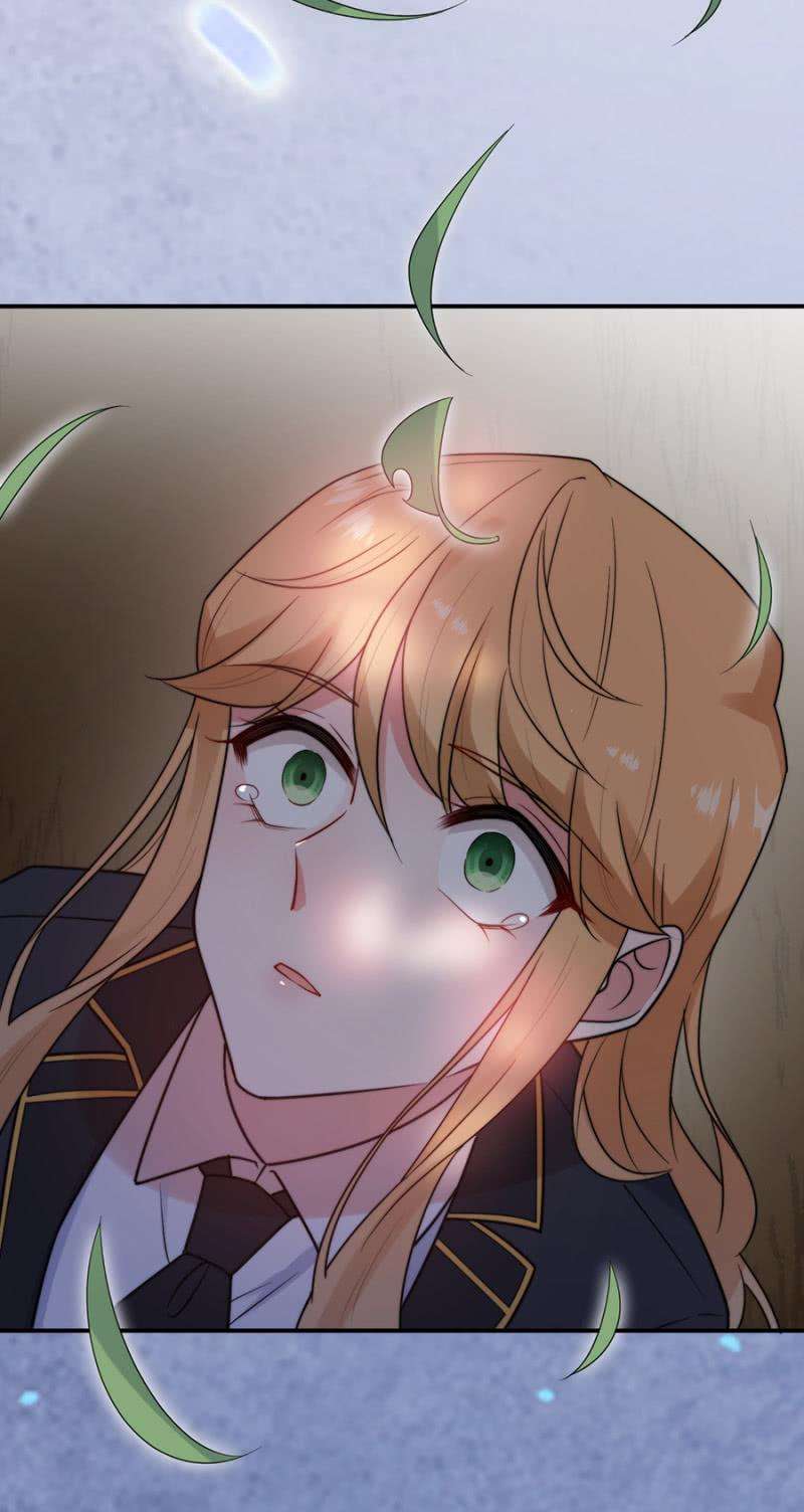 39.jpg