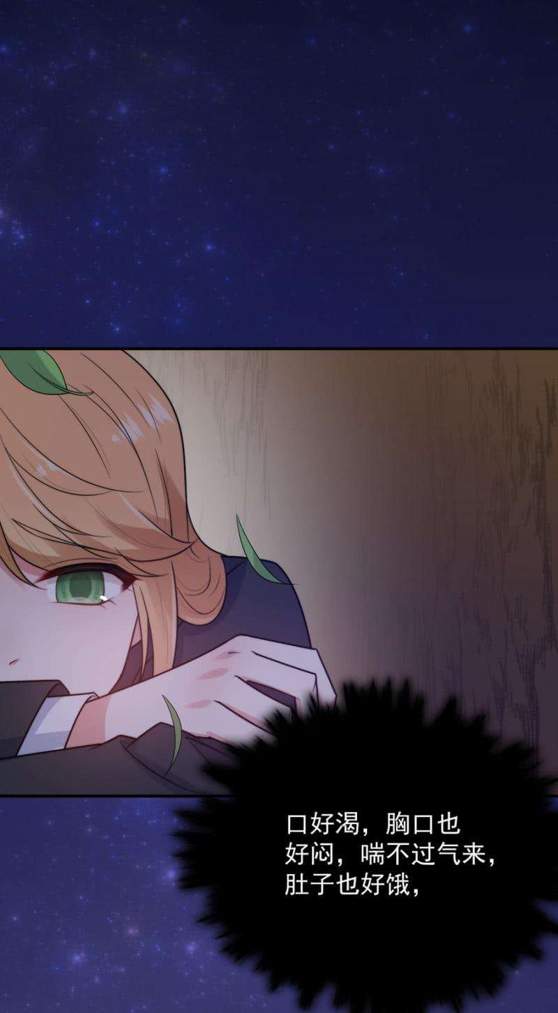 35.jpg