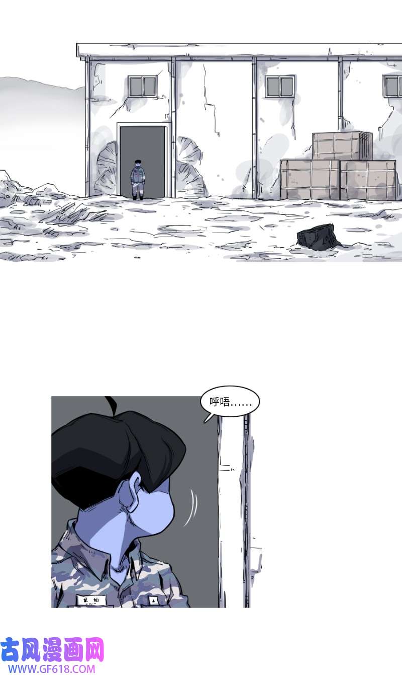 41.jpg