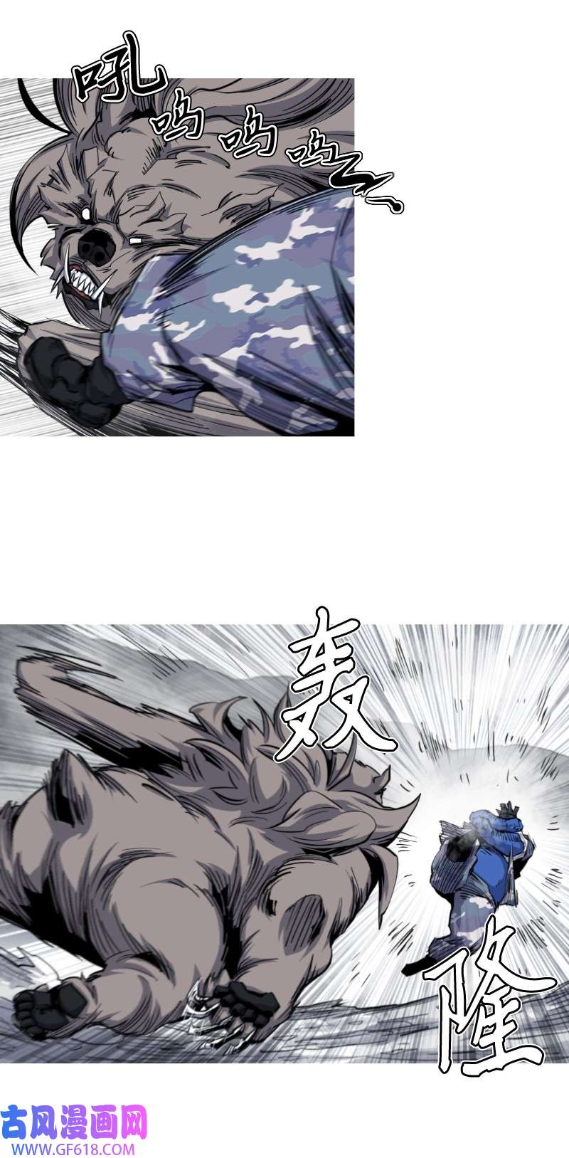 12.jpg