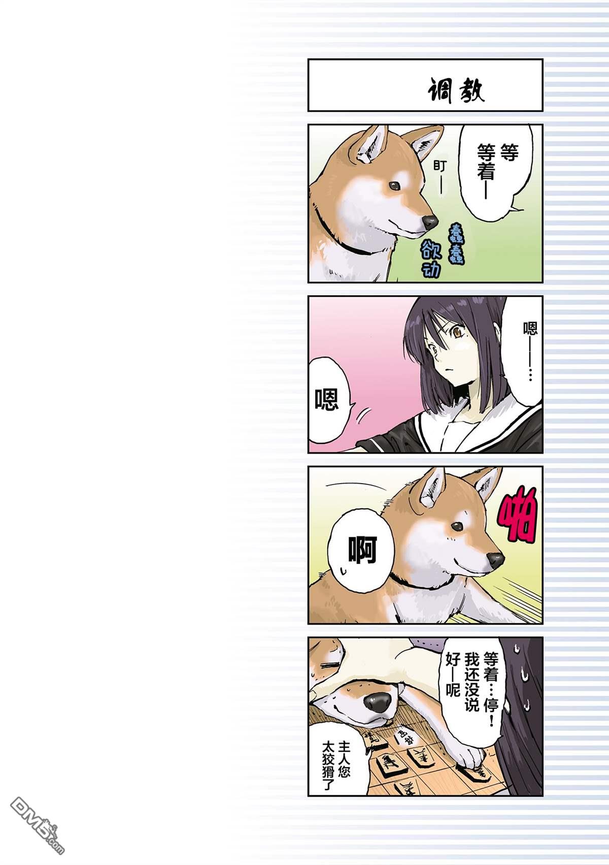 8.jpg