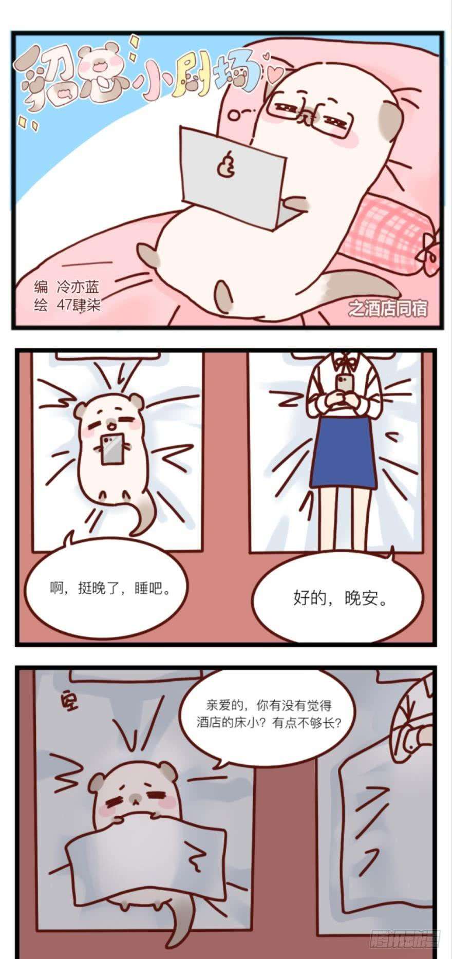 19.jpg