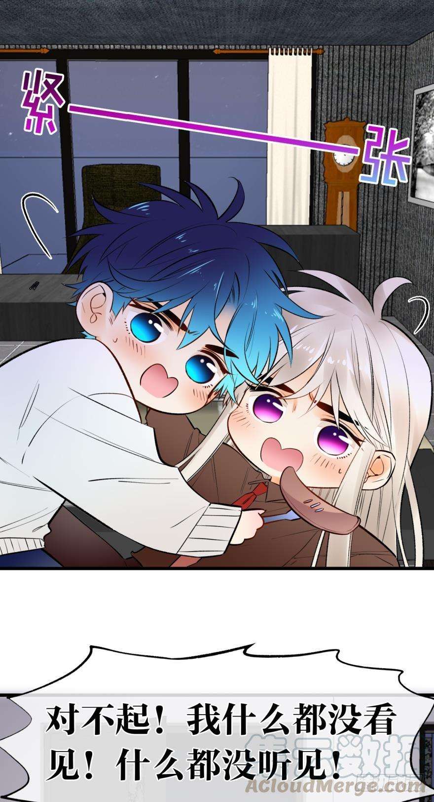 41.jpg