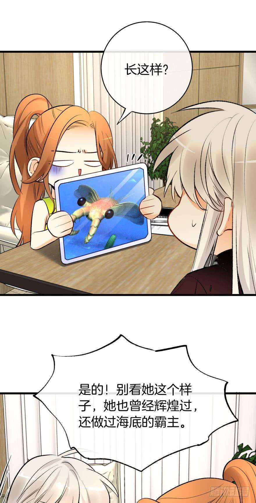 34.jpg