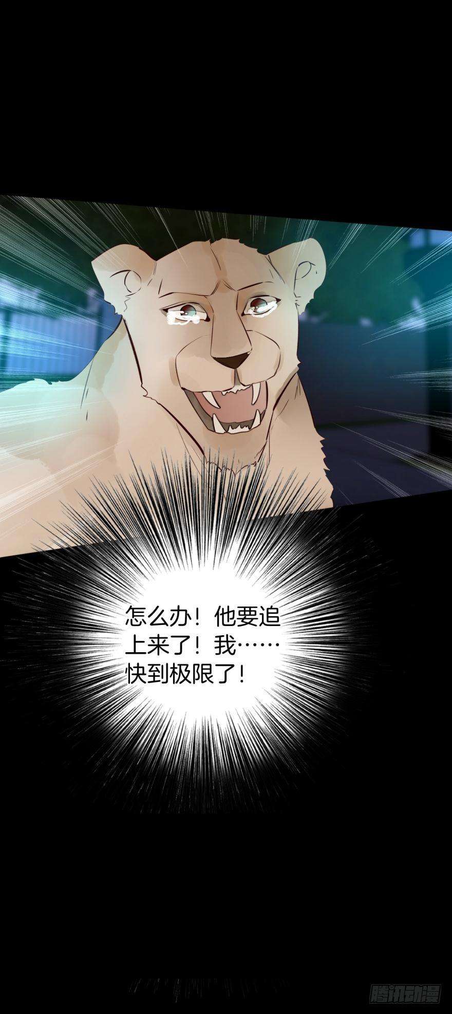 35.jpg