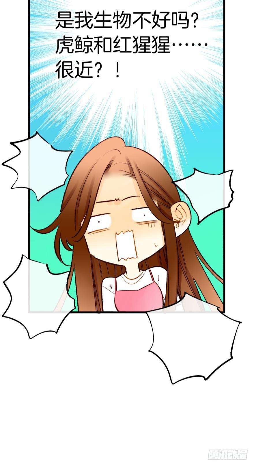 17.jpg