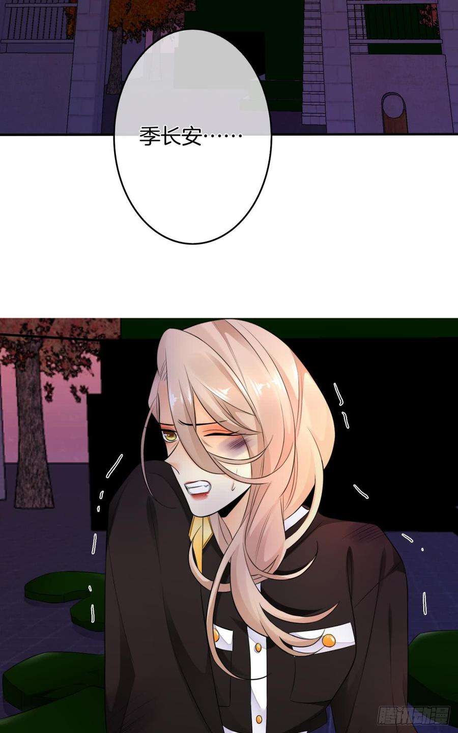 12.jpg