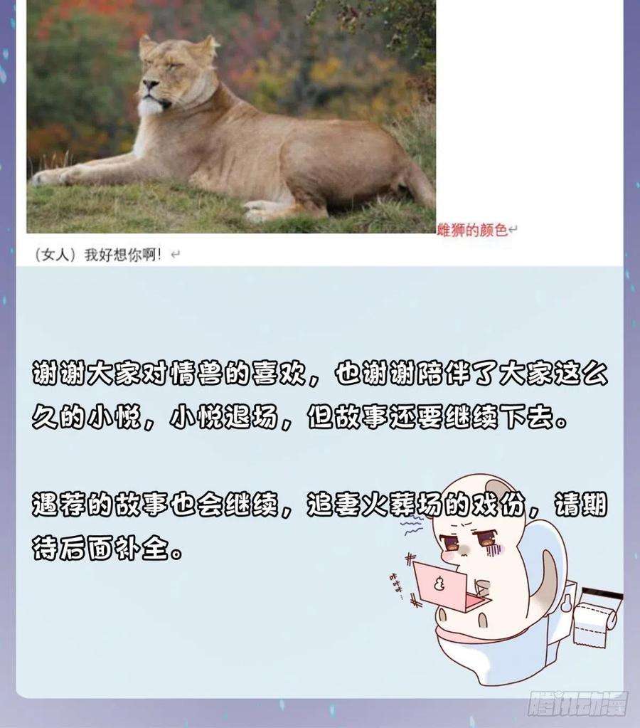 43.jpg